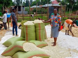 img_20240104_115535_608